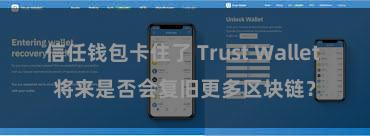 信任钱包卡住了 Trust Wallet 将来是否会复旧更多