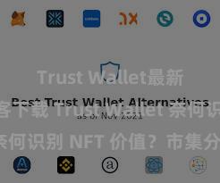 Trust Wallet最新版防黑客下载 Trust Wallet 奈何识别 NFT 价值？市集分析指南